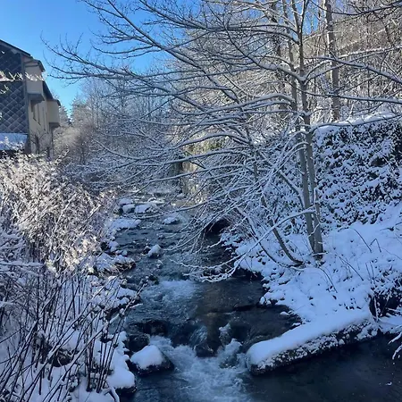 La Maison Du Trappeur Et La Des Sources * Le Mont-Dore