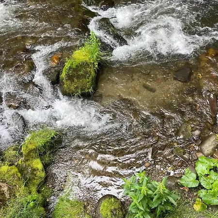 La Maison Du Trappeur Et La Des Sources *