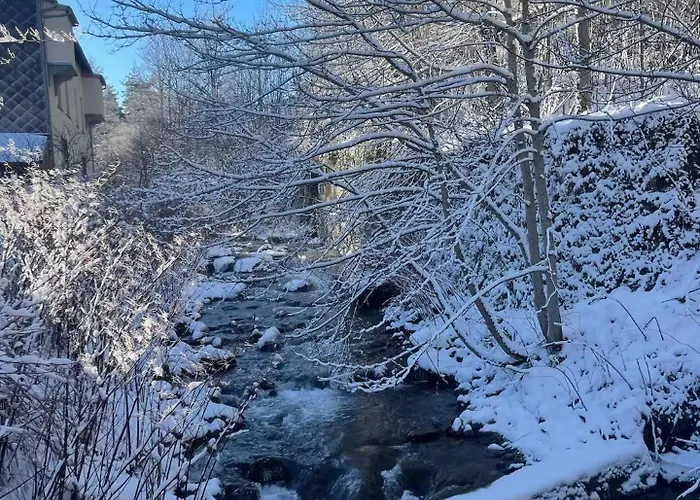 La Maison Du Trappeur Et La Des Sources * Le Mont-Dore