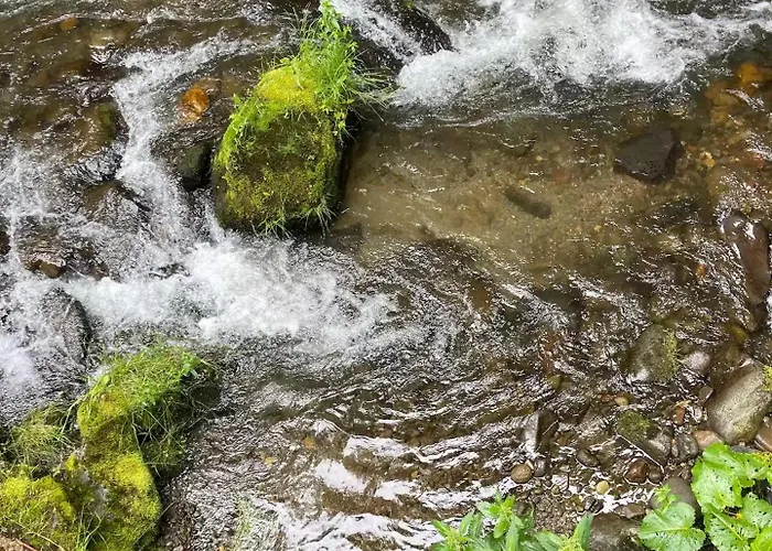 La Maison Du Trappeur Et La Des Sources *
