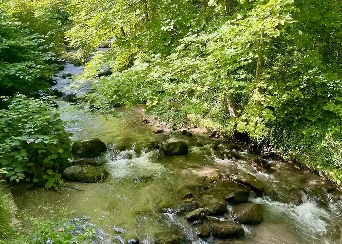 La Maison Du Trappeur Et La Des Sources Feriehus *