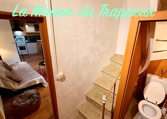 La Maison Du Trappeur Et La Des Sources Feriehus Le Mont-Dore